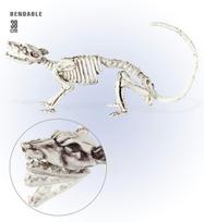 Bendable "RAT SKELETON" 38 cm