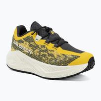 Moteriški bėgimo batai Salomon Aero Glide 4 GRVL beach ball/asphalt/vanilla ice