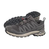 Salomon XA PRO 3D V9 GTX Dark Gull Gray/Cloudburst/Asphalt 479861 (SO39-c) bėgimo bateliai