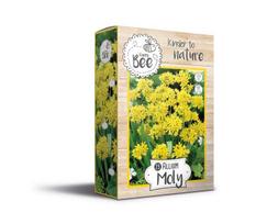 Gėlių svogūnėliai (dekoratyviniai česnakai) Allium Moly