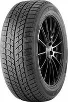 245/45R18 DOUBLESTAR DW09 96T DOUBLESTAR Žieminės padangos