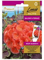 Juostuotojų pelargonijų sėklos NIGHT SALMON H, 0,5 g