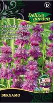 Hibridinių monardų sėklos BERGAMO, 10 vnt