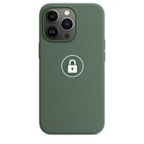 Telefono dėklas „Silicone Case v2", skirtas iPhone 13 Pro, Eucalyptus, su dėžute