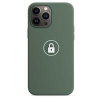 Telefono dėklas Silicone Case v2, skirtas iPhone 13 Pro Max, Eucalyptus, pakuotėje