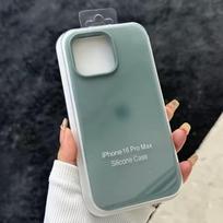Dėklas "Silicone Plastic Pack" skirtas Apple iPhone 12 kaktusinis (su įpakavimu)