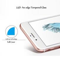 Grūdintas stiklas 2.5D Full Glue Apple iPhone 12 Pro Max bulk