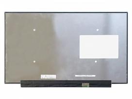 Nešiojamojo kompiuterio LCD ekranas 17,3" 1920 x 1080, FHD, LED, IPS, 360Hz, matinis, 40 pin (dešinė), A+