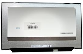Nešiojamojo kompiuterio LCD ekranas 17,3" 1920 x 1080, FHD, LED, IPS, 300Hz, matinis, 40 pin (dešinė), A+
