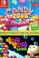 Endless Puzzle Fun Collection (Nintendo Switch) eShop Key EUROPE