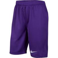 Nike Dri Fit SS25 Šortai Sodo Violetiniai IB8681-547 XS violetinė