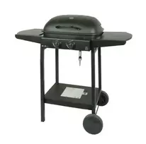 Master gas grill 2-burner MG672