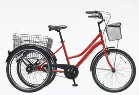 Dviratis 24   TRIKE PORTER 24  red bisan s  - s