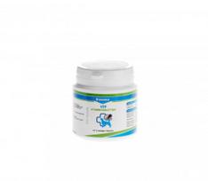 Canina V25 tabletės šunims N30 100g