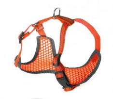 Petnešos Pettorine 32-40x32-45cm