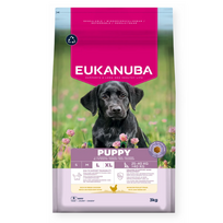 Eukanuba Life Care Puppy sausas maistas didelių veislių šuniukams su vištiena, L, 3 kg