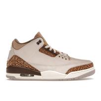 Air Jordan 3 Retro Palomino Vyriški sportbačiai Kreminis Šviesiai medžio mediena-Rudas Metalinis-Auksinis CT8532-102 42