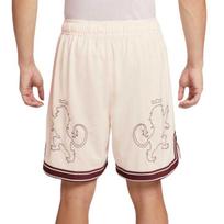 Nike LeBron draugiški odai, patogūs, kvėpuojantys krepšinio šortai vyrams Sail HV3395-133 M