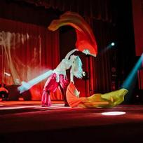 Pilvo šokio vėduoklis iš šilko, 1,8 m ilgio renginiams yellow orange red