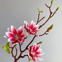 1 vnt. imitacijos gėlių šakų nuotakos girlianda EVA magnolijų puokštė vestuvėms, galimi keli variantai