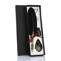 Retro Calligraphy Feather Dip Pen with 2 Nib Quill Fountain Writing Stationery No Ink mėlyna