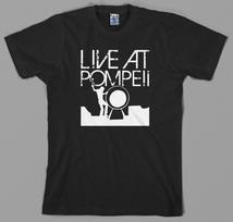 Pink Floyd įkvėpti gyvai Pompėjoje The Wall Syd Barrett David Gilmour unisex marškinėliai S