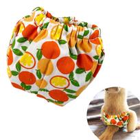 Voverės sauskelnės Jūrų kiaulytės sauskelnės Drabužiai Augintinių reikmenys Daugkartinės Mažos Murkloms S_Orange