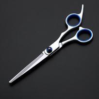 6 colių profesionalios naminių gyvūnėlių žirklės Naminių šunų priežiūros rinkiniai Lenktų žirklių rinkinys Žirklės 1x Straight Scissor sidabras