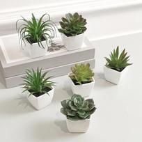 6 vnt (NUSTATYTI) Mini dirbtinė sukulentė žalias augalas plastikiniame baltame vazone, namų palangės, restorano stalo knygų lentynos dekoracija 6PCS(SET) žalia