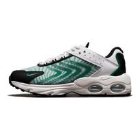 Nike Air Max TW Sintetinės odos Oro pagalvė Laisvalaikio žemi batai Vaikams Bėgimo batai Vaikams Bėgimo batai Juodi Balti Žali DQ0296-106 37.5