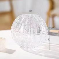 Šiaurietiška paprasta ir išskirtinė lengvo prabangumo hidroponinė kaktuso stiklinė vaza gėlių kompozicijai namų svetainės dekoravimo ornamentas stiklinė vaza Flower vase