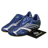 Adidas Originals TAEKWONDO F50 Treniruočių batai Unisex JS1046 Mėlyni Dydis EU 38 mėlyna