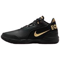 Nike Zoom LeBron NXXT Gen AMPD Equity Vyriški sportbačiai Daugiaspalviai Balti Metalizuoto Aukso FJ1566-103 41