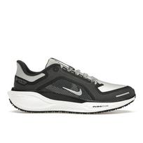 Nike Air Zoom Pegasus 41 GORE-TEX Juodi Geležies Pilki Moteriški Bėgimo Bateliai Angracito Spalvos Summit-White FQ1357-002 38