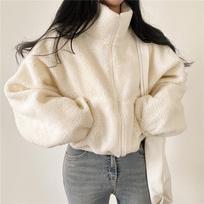 Fleece Džemperis Sutirštintas Šiltas Moteriškas Užtrauktuku Be Gobtuvo Moteriškas Stovu su Apykakle Trumpas Laisvas Pliušinis Paltas Žieminis Užtrauktuku M balta