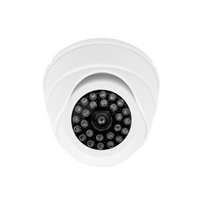 Imitacinė kamera El home AK-06B3