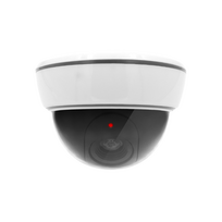 Imitacinė kamera El home AK-02B3
