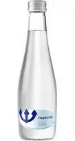 NEPTŪNAS Neptunas Mineral water NEPTUNAS, sparkling, glass 0.33l (DEP)