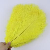 10vnt /Stalas Natūralių baltų stručio plunksnų vestuvių namų puošmena 15-20cm /25-30cm /30-35cm Stručio plunksnų stalo centrinė amatai 30-35cm geltona
