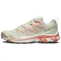 Salomon XT-6 Expanse Vanilla Ice Cement Unisex Bėgimo bateliai Celadon-Green L47445900 41⅓