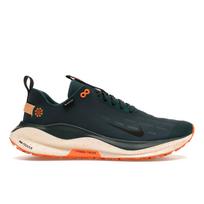 Nike ReactX Infinity Run 4 GORE-TEX Deep Jungle Total Orange Vyriški sportbačiai Green Geode-Teal Black FB2204-300 44.5