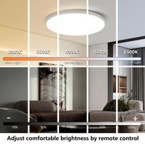 Led lubų lempos su nuotolinio valdymo ryškumo reguliuojamu LED skydiniu lubų šviestuvu 110-265V miegamojo virtuvės šviestuvas Diameter -30cm balta