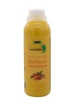 MĖMELIO FERMENTUOTAS  Bactohouse ciberžolės skonio, 1 L