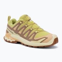 Moteriški bėgimo batai Salomon XA Pro 3D V9 endive/burro/almond cream