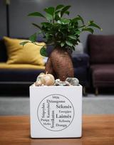 Vazonas su palinkėjimais su spauda