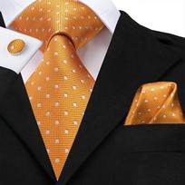 Hi-Tie vyriški aksesuarai Šilkiniai kaklaraištis nosinaičių rankogalių sąsagų rinkinys vestuvių vakarėliui su gėlėmis vientisas kaklaraištis N-3195