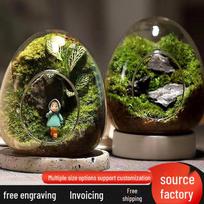 Kūrybiškas kiaušinio formos stiklinis terariumas sulteniams ir samanoms Small Egg Shape 10x11cm (Excludes Plants)