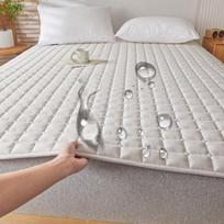 A klasės vandeniui ir šlapimui atspari sojų pupelių pluošto čiužinio apsauga, skirta viešbučiams ir nakvynės namuose Single Pillowcase dramblio kaulas