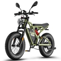 Elektrinis kalnų dviratis FAFREES 20  750W variklis pilna amortizacija elektrinis dviratis 48V 25AH maksimalus nuvažiuojamas atstumas 140km apkrova 130kg F20 Ultra Mechanical Brakes žalia