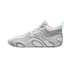 Nike Tatum 3 PF Tatum Vyriški krepšinio batai FZ6601-005 Dydis EU 44.5 sidabras
